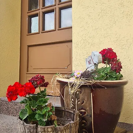 Ubytování v soukromí Land-ferienwohnung Mit Weitblick Im Ostseeland *